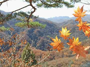 川菜菜谱大全百科及图片,川菜菜谱大全百科及图片高清